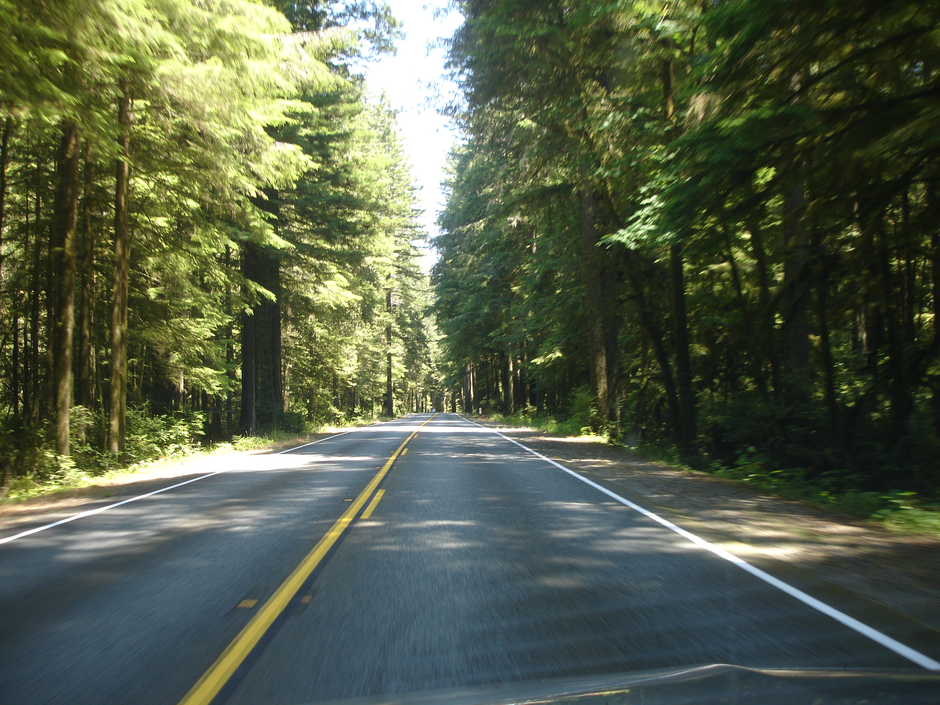 031 ]T Hwy 1